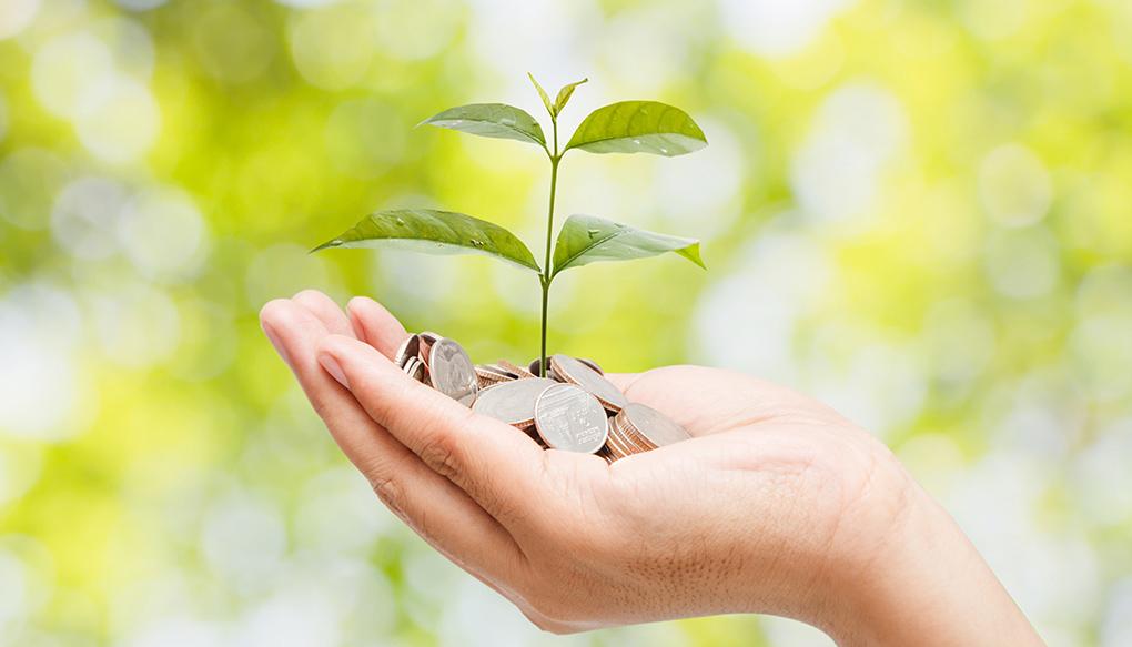 医療に関連するお金のイメージ―money plant growing from coins in hand on natural background