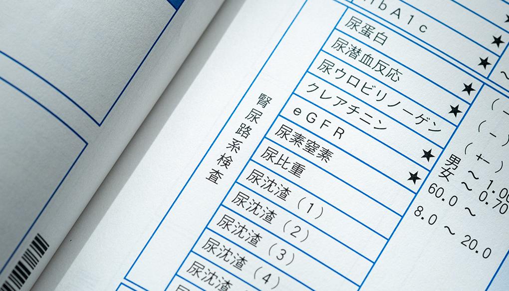 糖尿病関連腎臓病（DKD）とは？糖尿病性腎症との違いや定義の変遷、診療のポイント【医師向け】